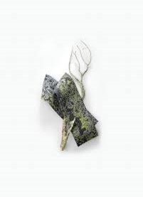 Lichen by Mohawk Group 1